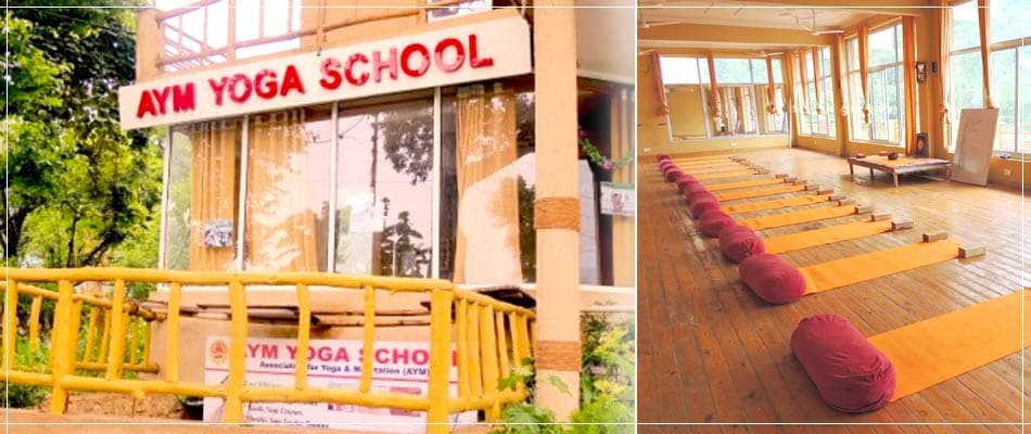 AYM Yoga School Rishikesh