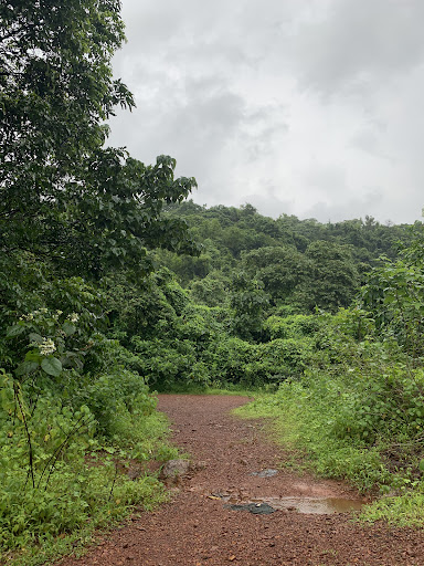 Photo from customer review