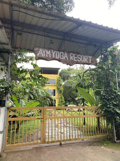 Photo from customer review