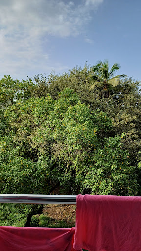 Photo from customer review