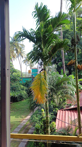 Photo from customer review